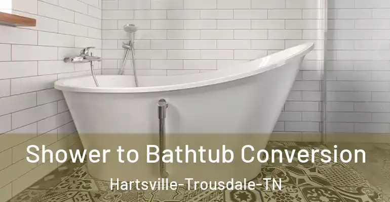 inner Bathroom imggen Shower to Bathtub Conversion Hartsville-Trousdale-TN