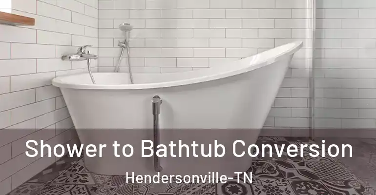 inner Bathroom imggen Shower to Bathtub Conversion Hendersonville-TN