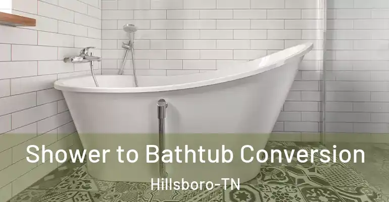inner Bathroom imggen Shower to Bathtub Conversion Hillsboro-TN