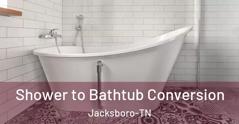 inner Bathroom imggen Shower to Bathtub Conversion Jacksboro-TN