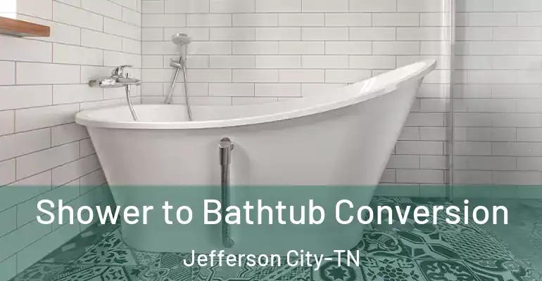 inner Bathroom imggen Shower to Bathtub Conversion Jefferson City-TN