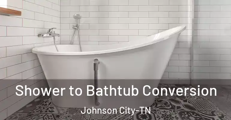 inner Bathroom imggen Shower to Bathtub Conversion Johnson City-TN