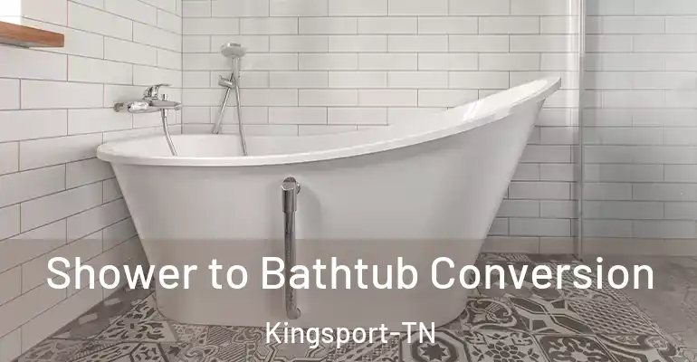 inner Bathroom imggen Shower to Bathtub Conversion Kingsport-TN