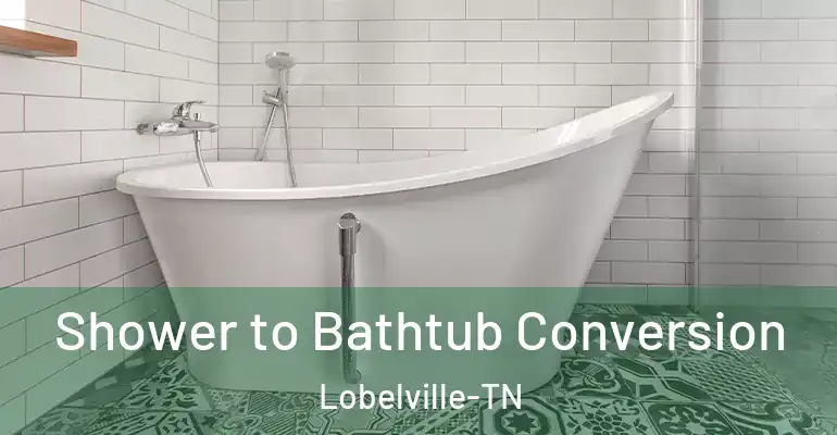 inner Bathroom imggen Shower to Bathtub Conversion Lobelville-TN