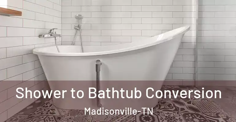 inner Bathroom imggen Shower to Bathtub Conversion Madisonville-TN