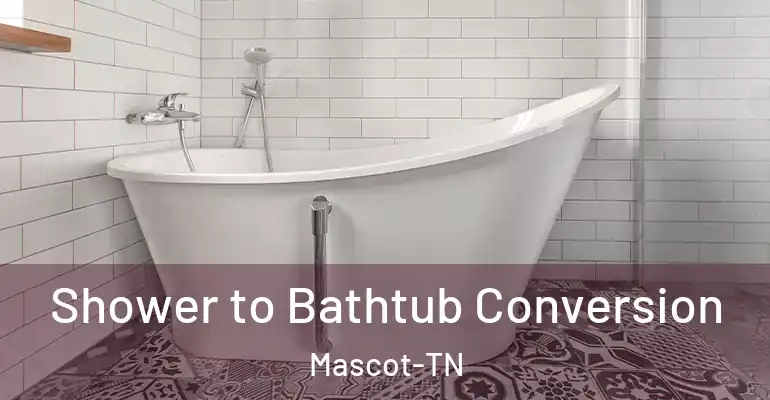 inner Bathroom imggen Shower to Bathtub Conversion Mascot-TN