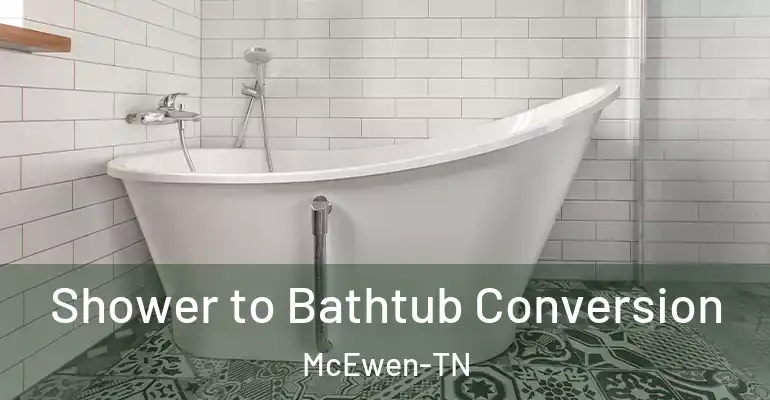 inner Bathroom imggen Shower to Bathtub Conversion McEwen-TN
