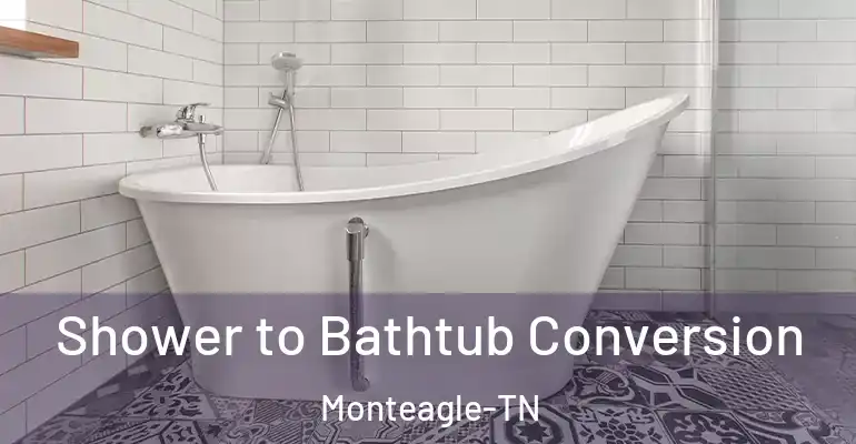 inner Bathroom imggen Shower to Bathtub Conversion Monteagle-TN