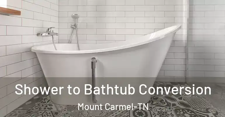 inner Bathroom imggen Shower to Bathtub Conversion Mount Carmel-TN