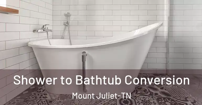inner Bathroom imggen Shower to Bathtub Conversion Mount Juliet-TN