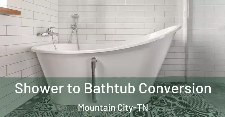 inner Bathroom imggen Shower to Bathtub Conversion Mountain City-TN