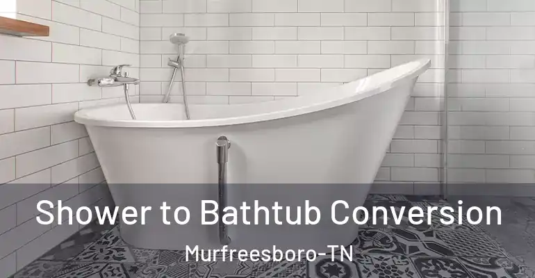 inner Bathroom imggen Shower to Bathtub Conversion Murfreesboro-TN
