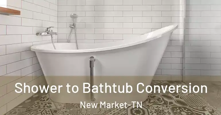 inner Bathroom imggen Shower to Bathtub Conversion New Market-TN