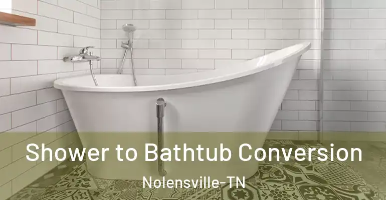 inner Bathroom imggen Shower to Bathtub Conversion Nolensville-TN