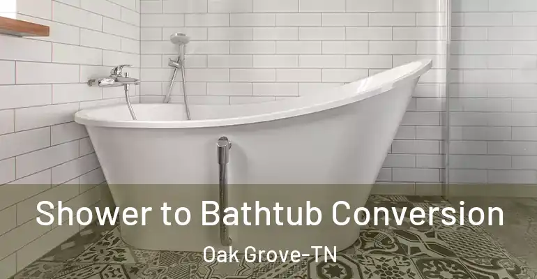 inner Bathroom imggen Shower to Bathtub Conversion Oak Grove-TN
