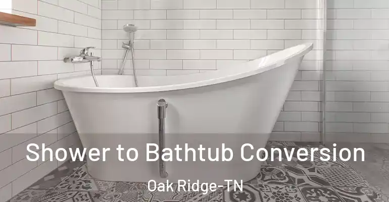 inner Bathroom imggen Shower to Bathtub Conversion Oak Ridge-TN