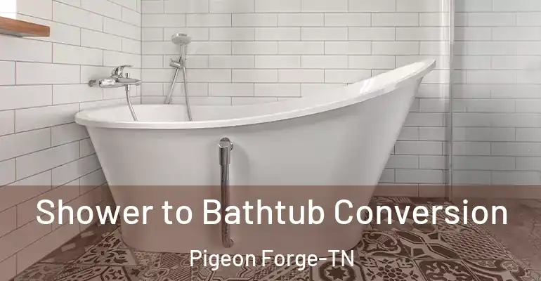 inner Bathroom imggen Shower to Bathtub Conversion Pigeon Forge-TN