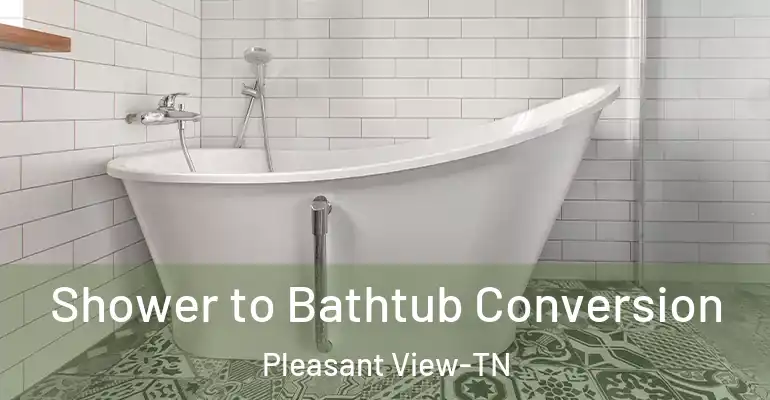 inner Bathroom imggen Shower to Bathtub Conversion Pleasant View-TN