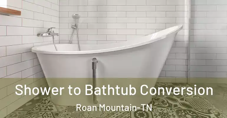 inner Bathroom imggen Shower to Bathtub Conversion Roan Mountain-TN