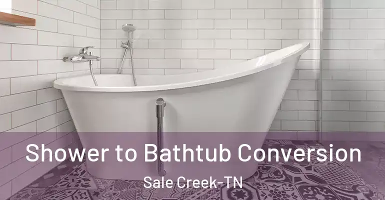 inner Bathroom imggen Shower to Bathtub Conversion Sale Creek-TN