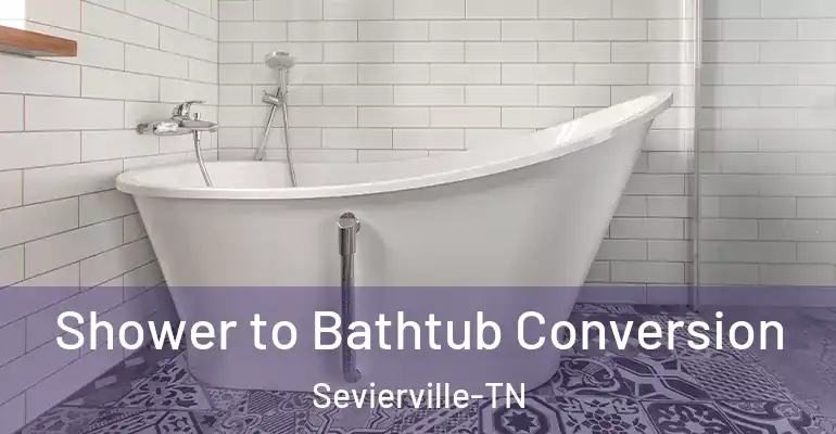 inner Bathroom imggen Shower to Bathtub Conversion Sevierville-TN