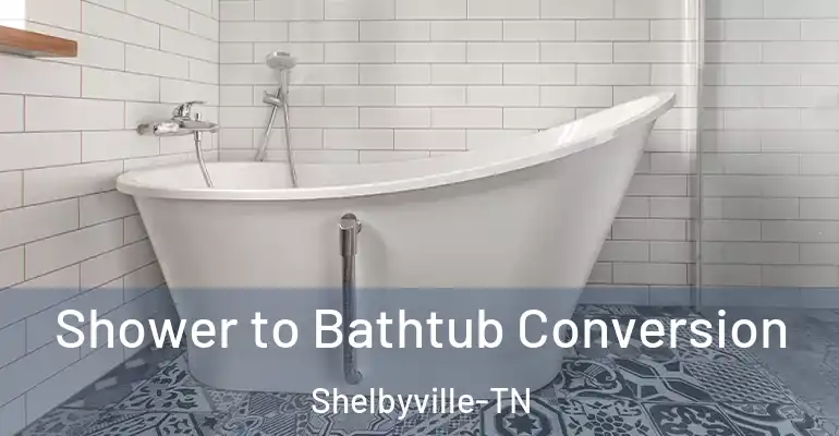 inner Bathroom imggen Shower to Bathtub Conversion Shelbyville-TN