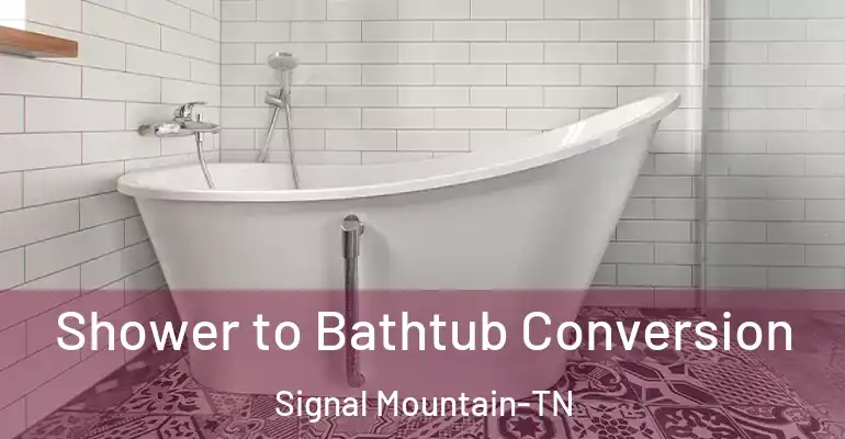 inner Bathroom imggen Shower to Bathtub Conversion Signal Mountain-TN