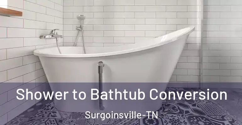 inner Bathroom imggen Shower to Bathtub Conversion Surgoinsville-TN