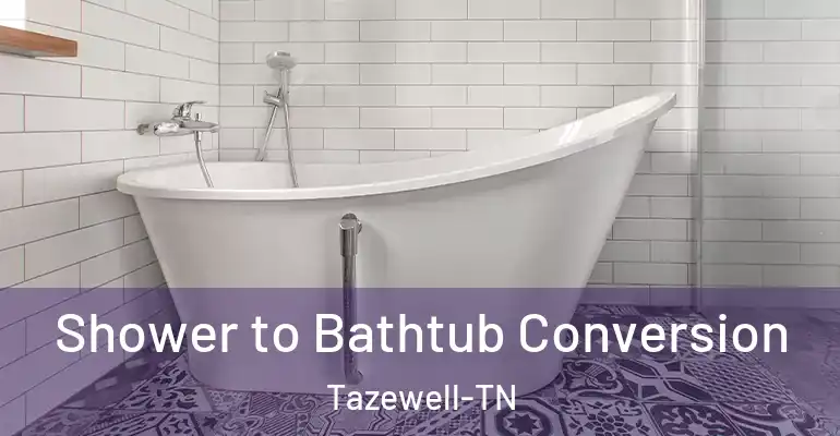 inner Bathroom imggen Shower to Bathtub Conversion Tazewell-TN