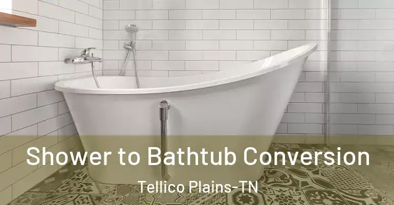 inner Bathroom imggen Shower to Bathtub Conversion Tellico Plains-TN