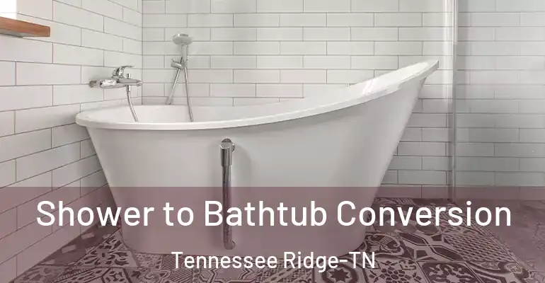 inner Bathroom imggen Shower to Bathtub Conversion Tennessee Ridge-TN