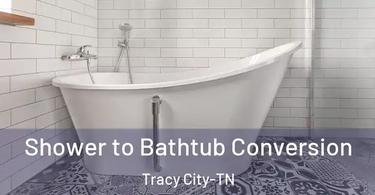 inner Bathroom imggen Shower to Bathtub Conversion Tracy City-TN