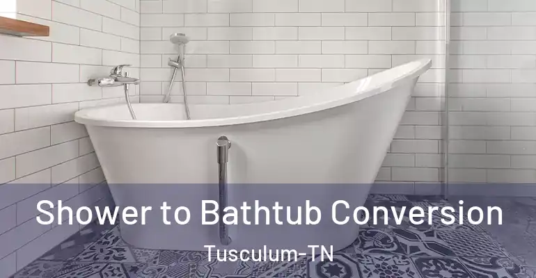 inner Bathroom imggen Shower to Bathtub Conversion Tusculum-TN