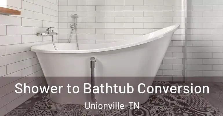 inner Bathroom imggen Shower to Bathtub Conversion Unionville-TN