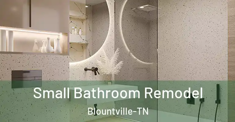 inner Bathroom imggen Small Bathroom Remodel Blountville-TN