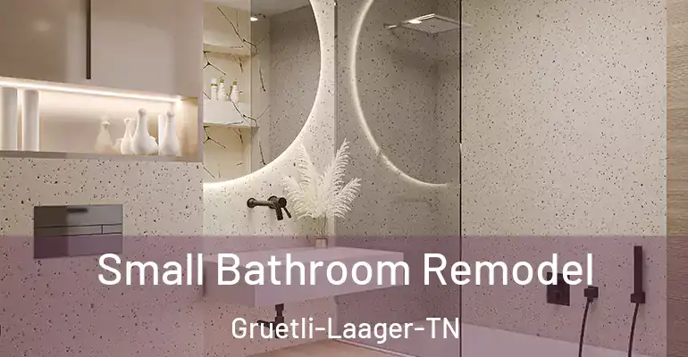 inner Bathroom imggen Small Bathroom Remodel Gruetli-Laager-TN