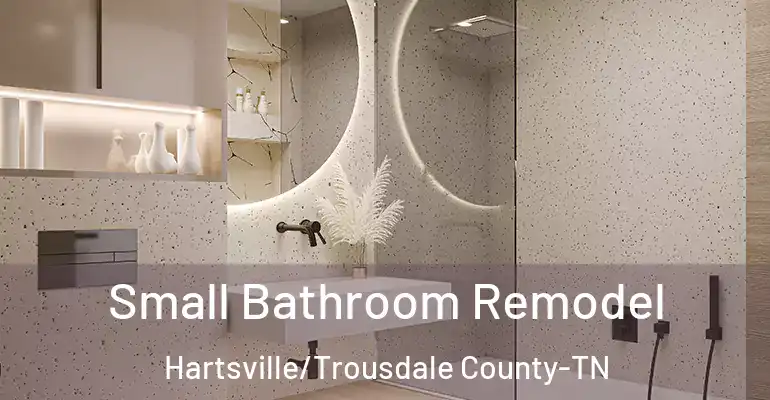 inner Bathroom imggen Small Bathroom Remodel Hartsville/Trousdale County-TN