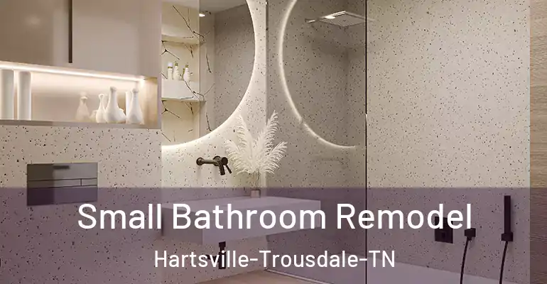 inner Bathroom imggen Small Bathroom Remodel Hartsville-Trousdale-TN