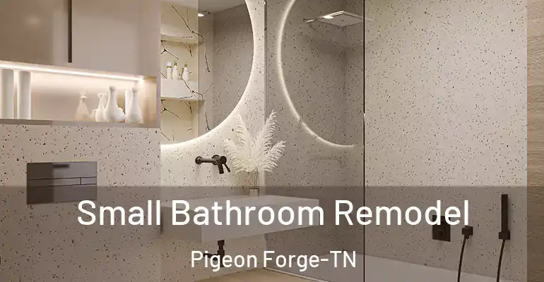 inner Bathroom imggen Small Bathroom Remodel Pigeon Forge-TN