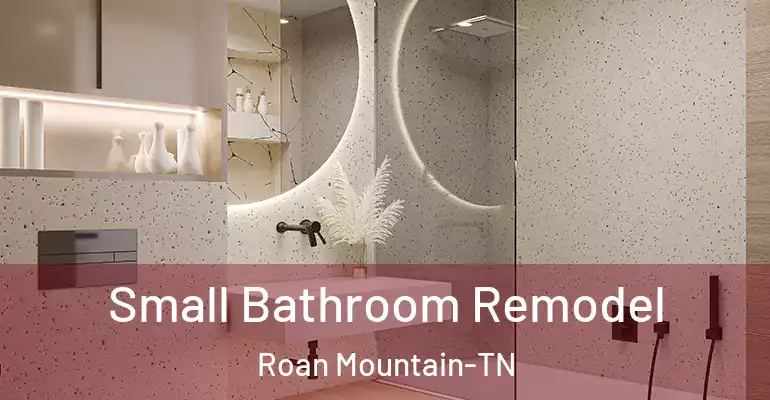 inner Bathroom imggen Small Bathroom Remodel Roan Mountain-TN