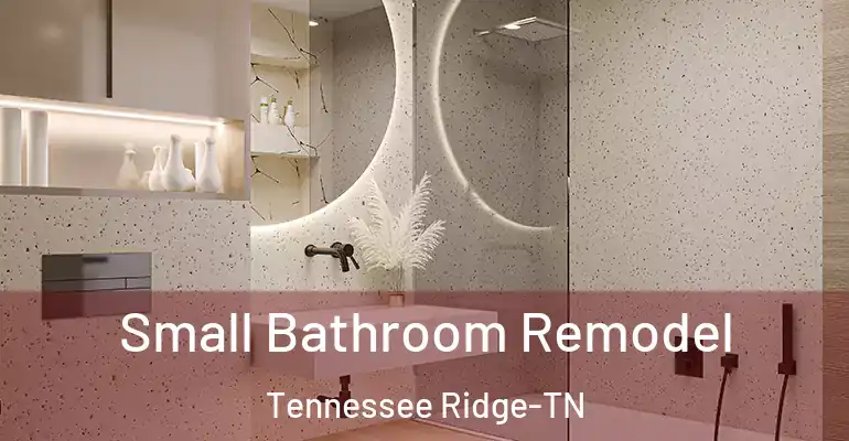 inner Bathroom imggen Small Bathroom Remodel Tennessee Ridge-TN