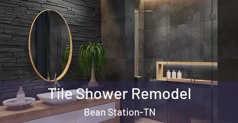 inner Bathroom imggen Tile Shower Remodel Bean Station-TN