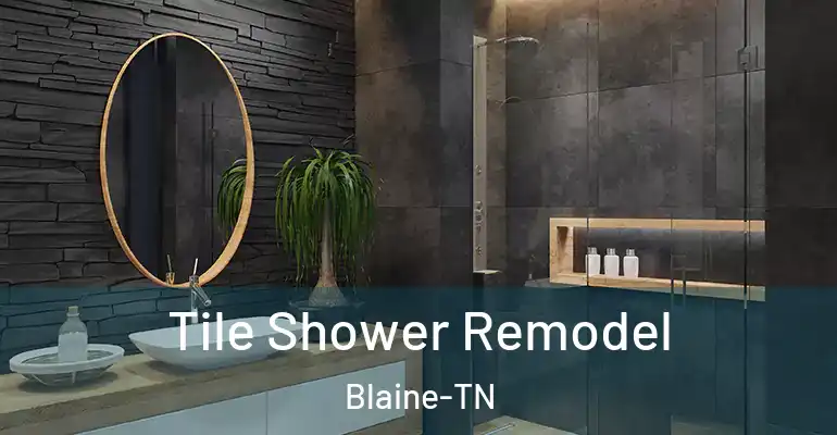 inner Bathroom imggen Tile Shower Remodel Blaine-TN