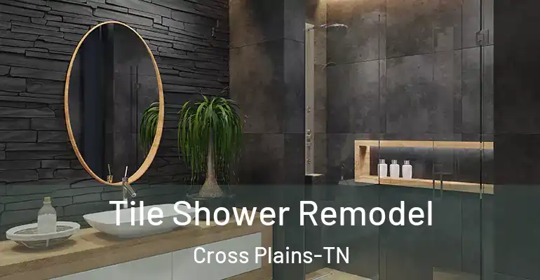 inner Bathroom imggen Tile Shower Remodel Cross Plains-TN