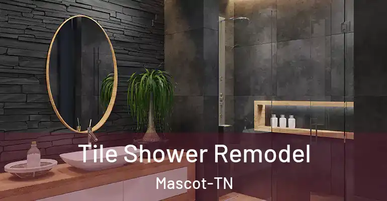 inner Bathroom imggen Tile Shower Remodel Mascot-TN