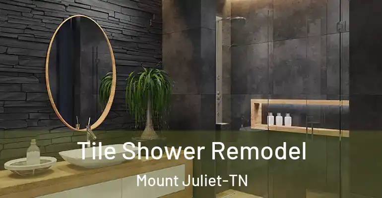 inner Bathroom imggen Tile Shower Remodel Mount Juliet-TN