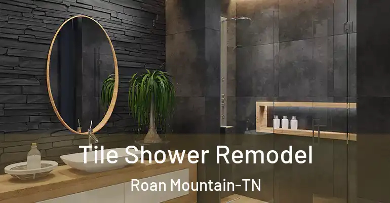 inner Bathroom imggen Tile Shower Remodel Roan Mountain-TN