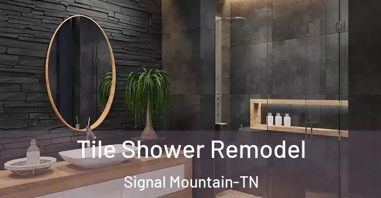 inner Bathroom imggen Tile Shower Remodel Signal Mountain-TN
