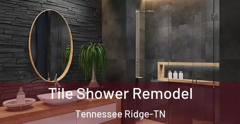 inner Bathroom imggen Tile Shower Remodel Tennessee Ridge-TN