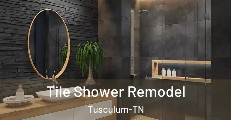 inner Bathroom imggen Tile Shower Remodel Tusculum-TN